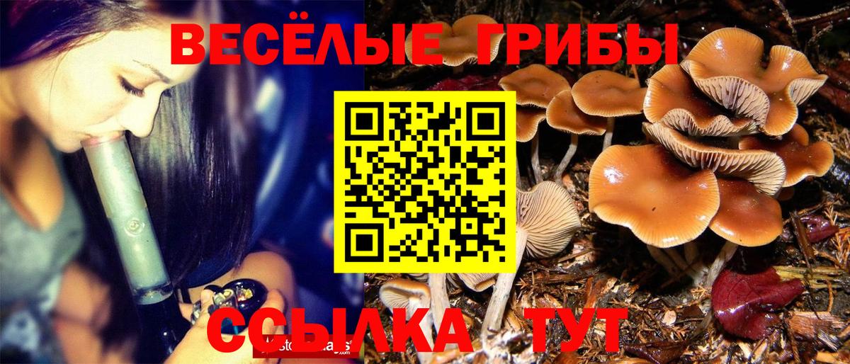 Псилоцибиновые грибы прущие грибы  Вход с VPN  Советская Гавань 